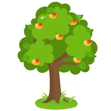 Color image of cartoon apple tree on white background. Fruits and plants. Vector illustration for kids.