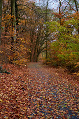 klarenbeek, Arnehem, Netherlands