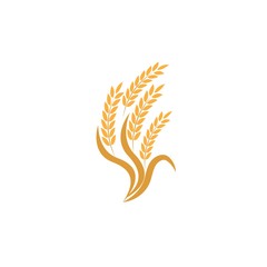 Agriculture wheat Logo Template vector icon