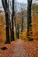 Obraz premium klarenbeek, Arnehem, Netherlands