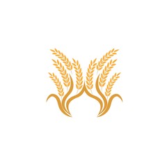 Agriculture wheat Logo Template vector icon