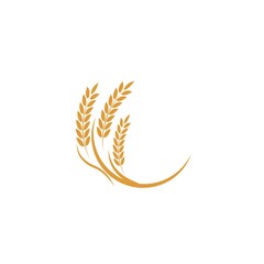 Agriculture wheat Logo Template vector icon