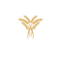 Agriculture wheat Logo Template vector icon