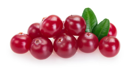 Fresh cranberry isolated on white background