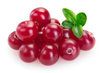 Fresh cranberry isolated on white background