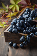 Fresh Black Grapes in Dark Wooden Tray on Wooden Table.