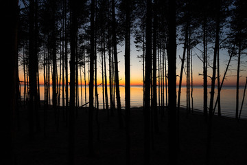 Sea beach sunset, Gulf of the Baltic Sea