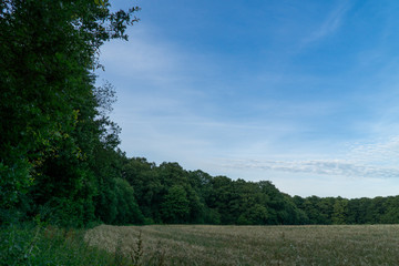 landscape with blue sky and clouds