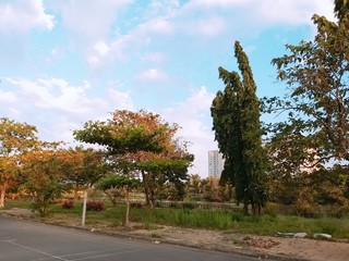 Obraz premium autumn in the park