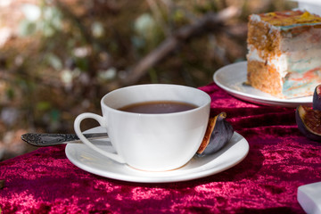 Beautiful autumn picnic in nature in the park.