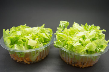 Salad jars with lettuce and carrots for delivery