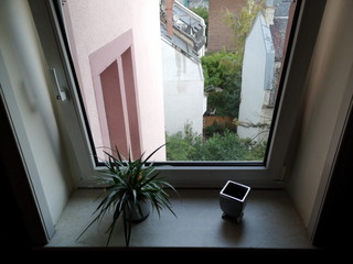 Dekorative Grünpflanze und Gefäß auf der Fensterbank im Treppenhaus eines Altbau und Mietshaus...