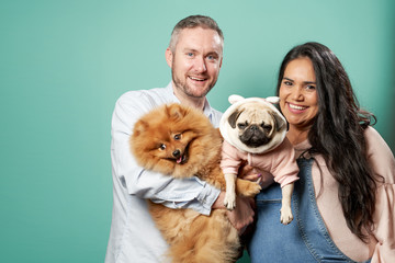 Obraz premium Young pregnant brunette and man hold dogs on hands on green isolated background