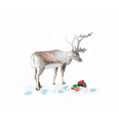 Watercolor illustration "Christmas deer". Watercolor design. Postcard.