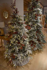 Christmas decorations for home with two decorated trees 