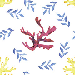 coral algae watercolor on white background