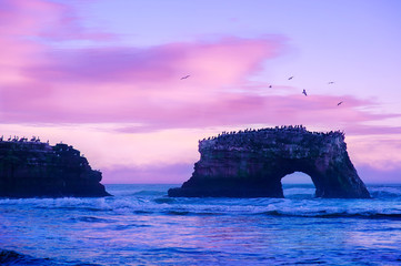 Incredible natural arch in the huge rock at sunset on Natural Bridges State Beach in California, USA - famous touristic place, especially in evening time, with a lot of birds