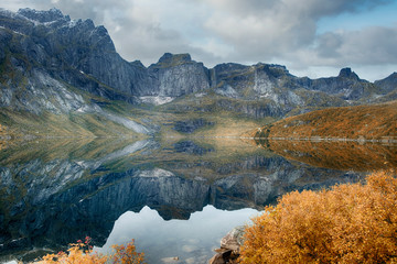 mirror reflection rocks in the lake in  beautiful golden autumn in the area of ​​the town of Nusfjord, Norway, Lofoten Islands