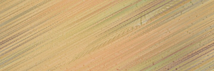 seamless repeating design graphic with diagonal color lines background dark khaki, pastel brown and light golden rod yellow colors