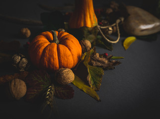 Thanksgiving Autumn moody background with fall fruit, leaves and gourd on dark background