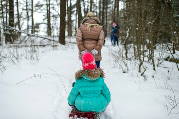Mother pulling sled with her daughter sitting on it in winter snowy day at nature.