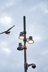 railroad crossing sign