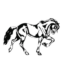 Hand drawn horse vector isolated on a transparent background