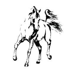 Hand drawn horse vector isolated on a transparent background