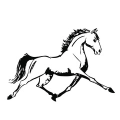 Hand drawn horse vector isolated on a transparent background