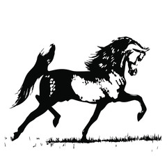 Hand drawn horse vector isolated on a transparent background