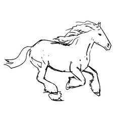 Hand drawn horse vector isolated on a transparent background