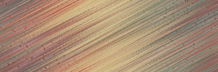 seamless repeating backdrop graphic with diagonal color lines background rosy brown, dim gray and pastel brown colors