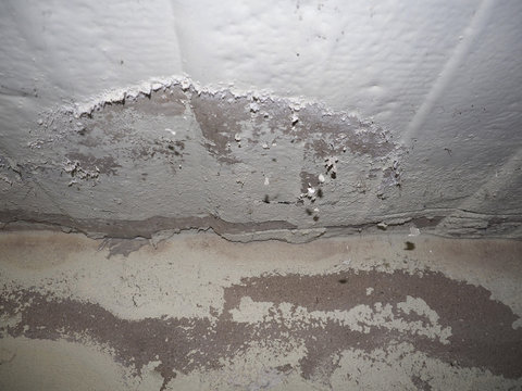 dampness moisture on wall and ceiling