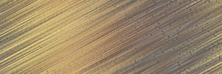 seamless pattern background graphic with diagonal color lines background pastel brown, gray gray and tan colors