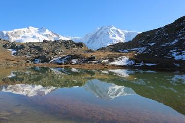 Dufouspitze spiegelt im Riffelsee - Zermatt