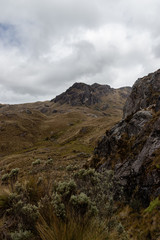 Fototapeta premium Nationalpark Cajas, Ecuador