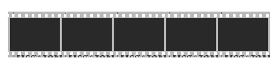 Five photo camera blank frames. Camera roll