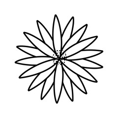 flower decoration nature on white background thick line