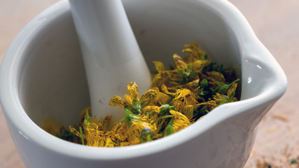 Frisches Johanniskraut im weißen Keramikmörser mit Stössel