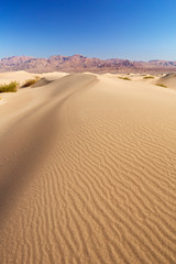 Fototapeta na wymiar Mesquite Flat Sand Dunes in Death Valley National Park