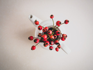 Frische Hagebutten in einer weißen Teekanne auf einem neutralen Hintergrund, Draufsicht, Teepause