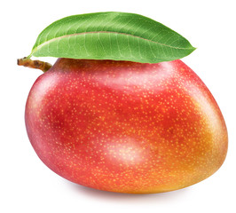 Perfect ripe mango fruit with a leaf on white background.  File contains clipping path.