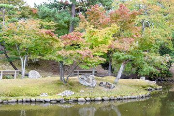 Fototapeta na wymiar 奈良公園　風景