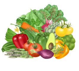 Fototapeta na wymiar Illustration of vegetables (tomato, carrot, avocado, pepper, cucumber, artichoke, broccoli, cabbage, asparagus), hand drawn on a white background