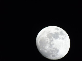 Beautiful caption of the moonlight over the village in winter days with some trees and leaves in the background by night and by day.