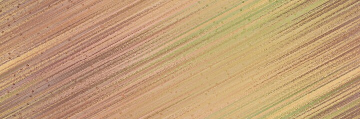seamless pattern graphic with diagonal color lines background dark khaki, pastel brown and papaya whip colors