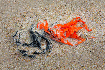 Environmental pollution - the rests of two worn-out balloons lying on the beach as plastic waste