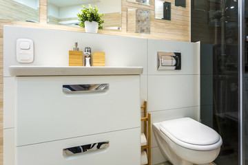 toilet and detail of a corner shower cabin with wall mount shower attachment