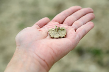  Drought theme photo, soil at hand