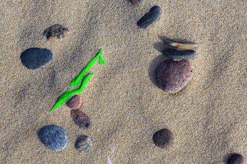 Fototapeta na wymiar Environmental pollution - the rest of a green plastic foil, lying on the beach as plastic waste, hidden in the sand